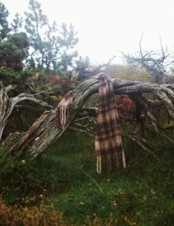 Men Forét Accessories-Airy Wool Scarf-Brown Check