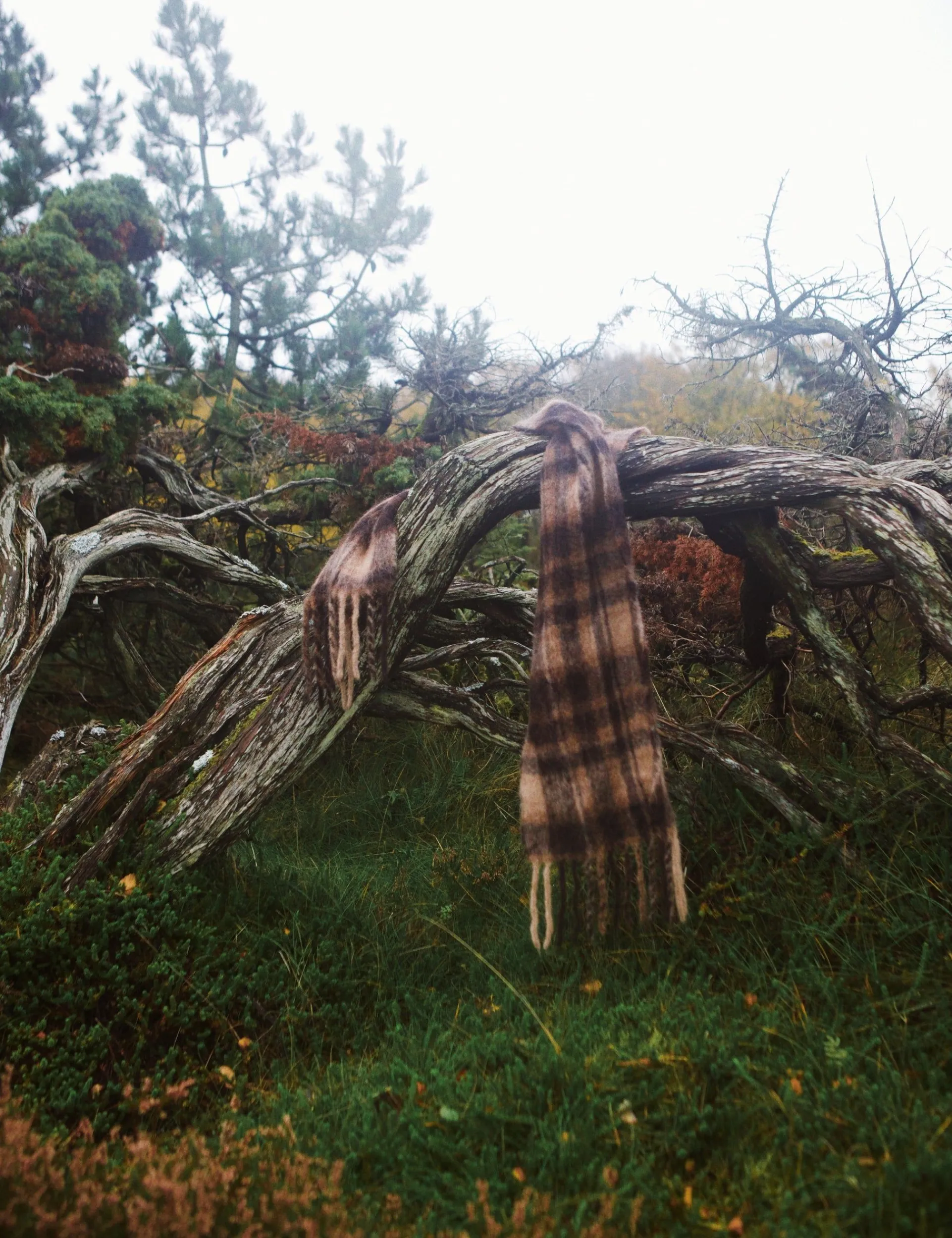 Men Forét Accessories-Airy Wool Scarf-Brown Check