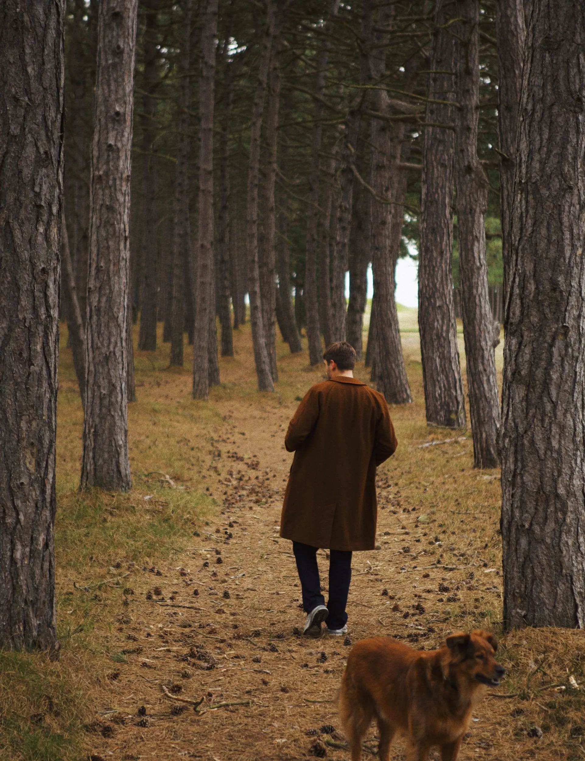 Men Forét Jackets-Shelter Wool Long Coat-Brown